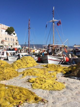 Hydra-harbour-daily-catch